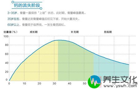 钙的流失阶段