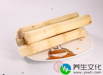 归肺、胃经，味甘而性凉的青皮甘蔗