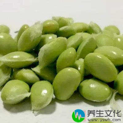 豆类也是防止脱发的食物