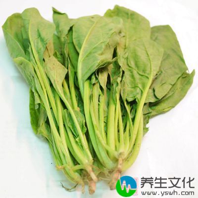 香油拌菠菜也是我们夏季常吃的凉菜