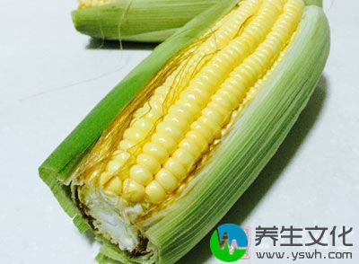 玉米富含脂肪，其脂肪中的不饱和脂肪酸