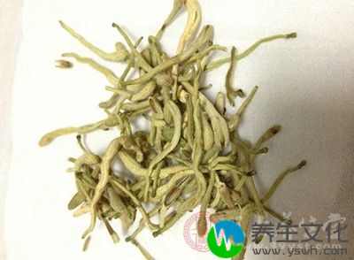 金银花性寒，能清热解毒、疏散风热