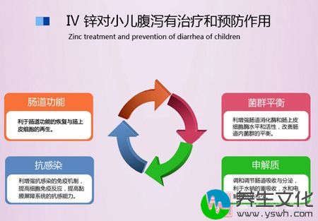 锌对小儿腹泻有治疗和预防作用