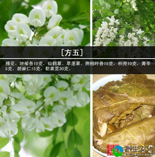 [方五]槐花、地榆各10克，仙鹤草、