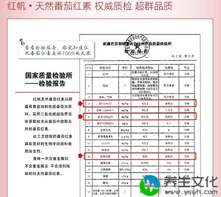 红帆、天然番茄红素 权威质检 超群品质