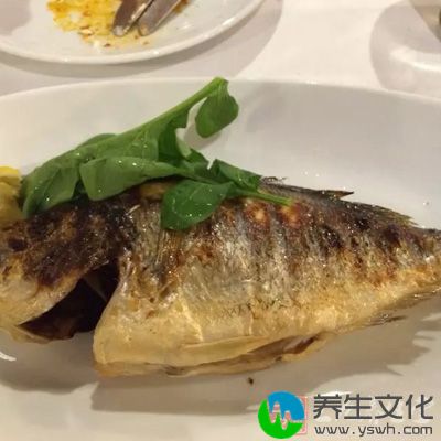 鱼是低脂肪、高蛋白质的食品