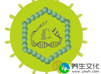 即人乳头瘤病毒( human papilloma virus, HPV) 检测