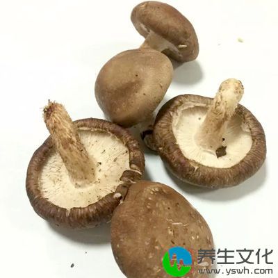 菌类食物如黑木耳、蘑菇、香菇