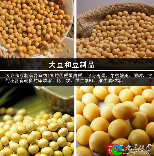 大豆和豆制品