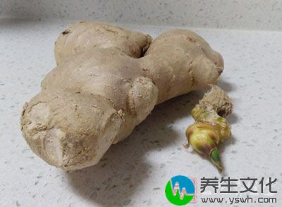 用生姜、芋头等量，芋头削皮切碎