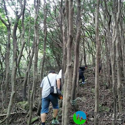 爬山是一项非常好的有氧运动