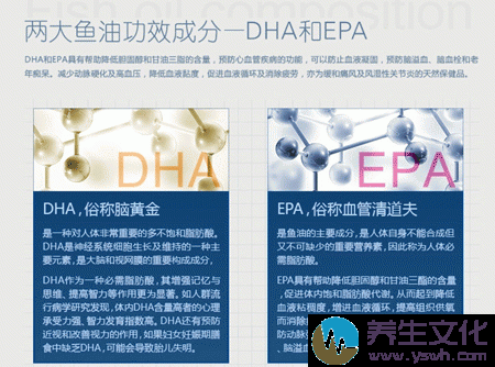 两大鱼油功效成分——DHA和EPA