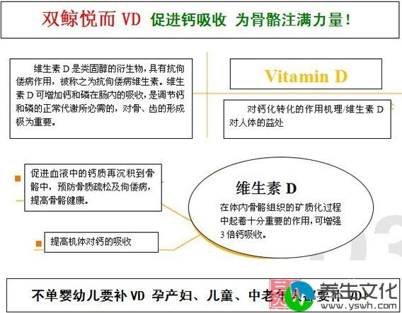 不补维生素D 等于白补