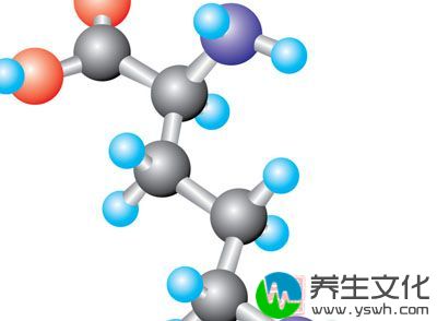 氨基酸(amino acid)：含有氨基和羧基的一类有机化合物的通称