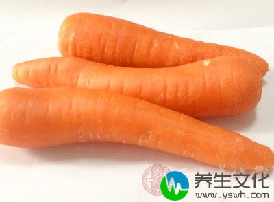 胡萝卜属于碱性食物，能够补充人体的微量元素