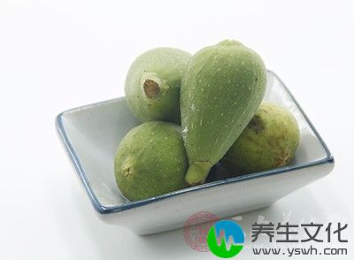 肺燥干咳咽痛：鲜无花果2个，蜜枣2个，隔水炖烂吃，每天2次