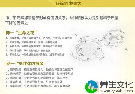 锌、硒都跟精子形成有密切关系