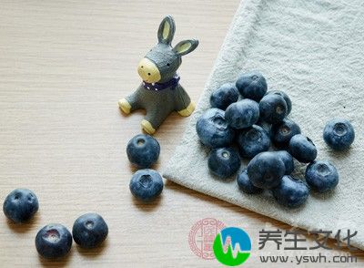 蓝莓中富含微量元素锰，对骨骼发育起到关键作用