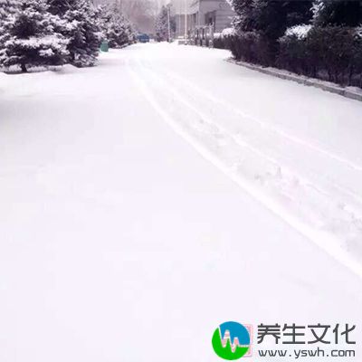 滑雪是一项全身的运动，能够对神经系统进行全方位的锻炼和提高