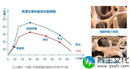 骨量生理年龄变化趋势图