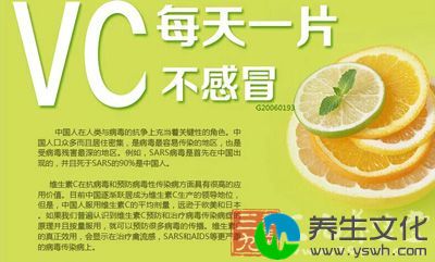 VC每天一片不感冒