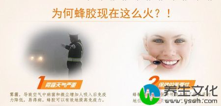 为何蜂胶现在这么火