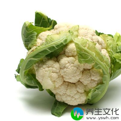 花椰菜富含维他命A有利于激素分泌，帮助乳房发育