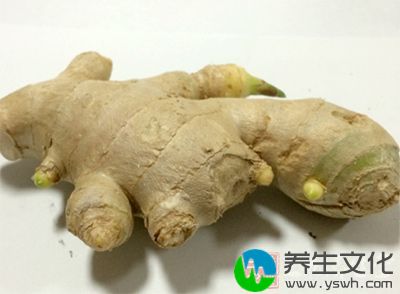 咸鱼头1个，豆腐数块，生姜1片