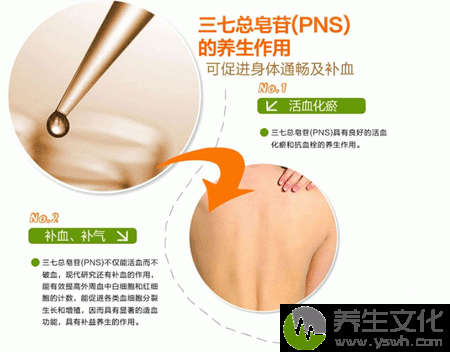 三七总皂苷的养生作用