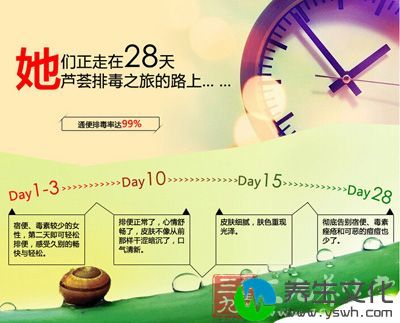 她们正走在28天芦荟排毒之旅的路上