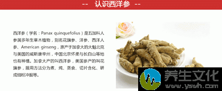 西洋参是五加科人参属多年生草木植物