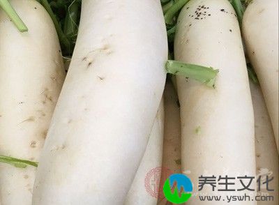 建议多吃健脾利湿的食物，如萝卜、姜、赤小豆、山药、白扁豆等