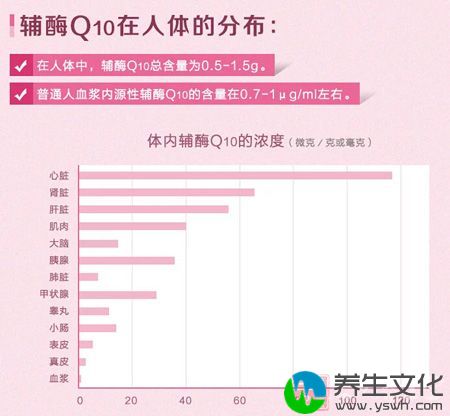 辅酶Q10在人体的分布