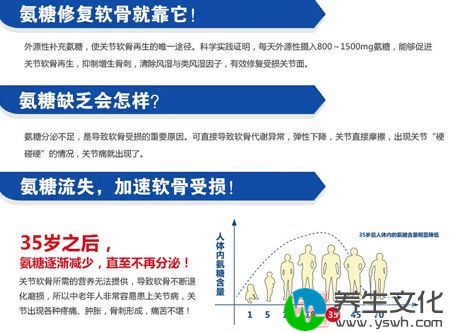 35岁之后，氨糖逐渐减少，直至不再分泌