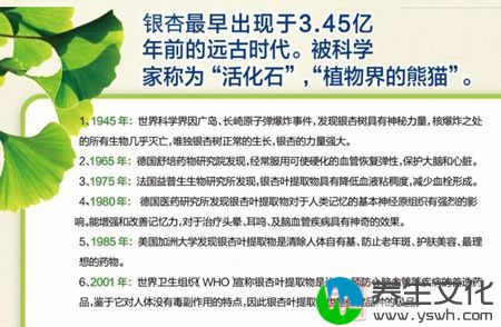 银杏最早出现于3.45亿年前的远古时代