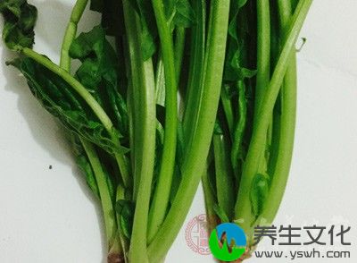 新鲜连根菠菜150克，粳米100克