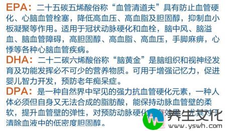 海狗油是从海狗脂肪组织提取的一种富含Omega-3不饱和脂肪酸的珍贵营养滋补品