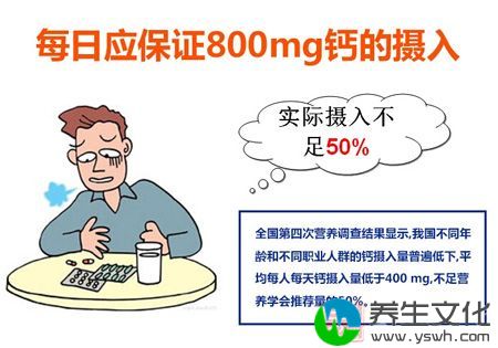 每日应保证800mg钙的摄入