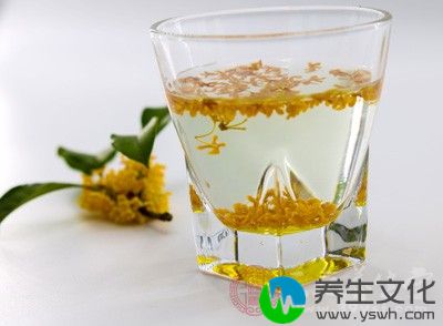 喝杯桂花茶暖暖胃