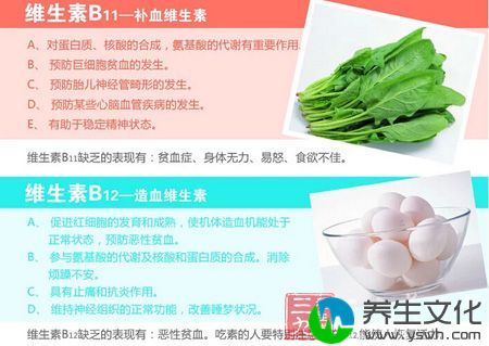 维生素B11和B12的作用