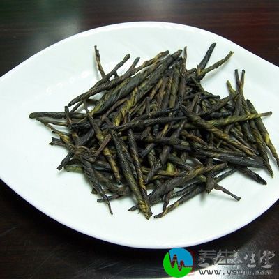 苦丁茶性寒凉