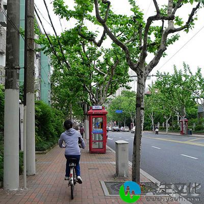 在自行车道上，听着汽车们不耐烦的喇叭声飞速的骑车，那叫一个爽