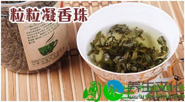 罗布麻茶