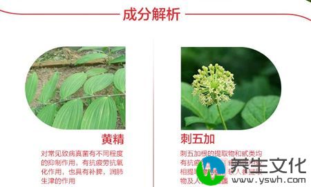 佳汇泰牌西洋参红景天胶囊成分解析