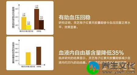 血液内自由基含量降低35%