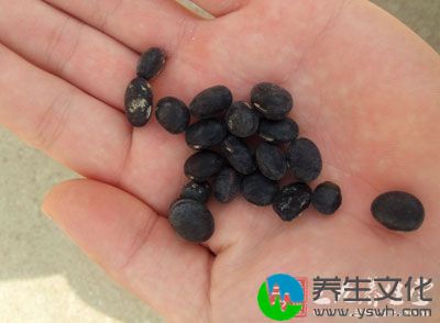 黑豆500克，加水1000毫升，以文火熬煮