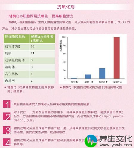 辅酶Q10细胞深层抗氧化，提高细胞活力