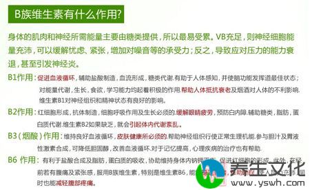 B族维生素有什么作用