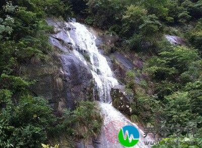 老宋说：坟墓都是风水宝地