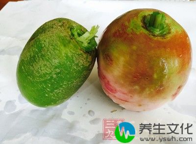 其实萝卜属于根茎类蔬菜，主要食用的便是萝卜根